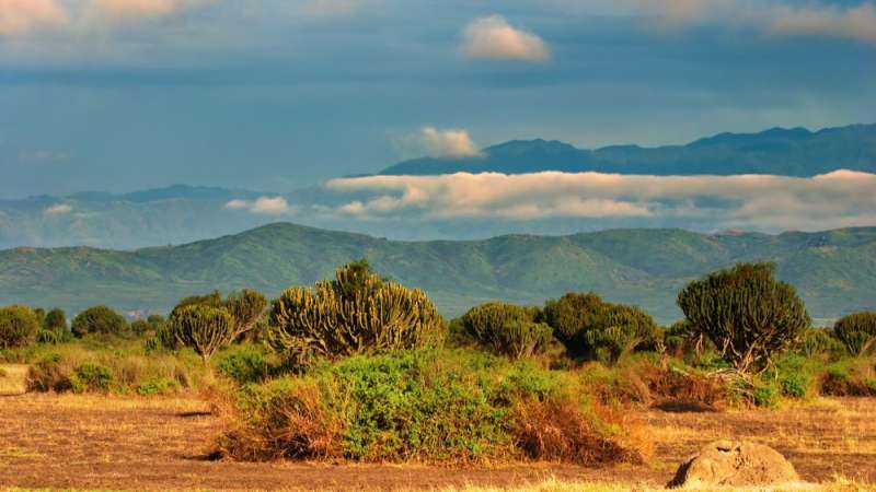 Queen elizabeth national park landscape