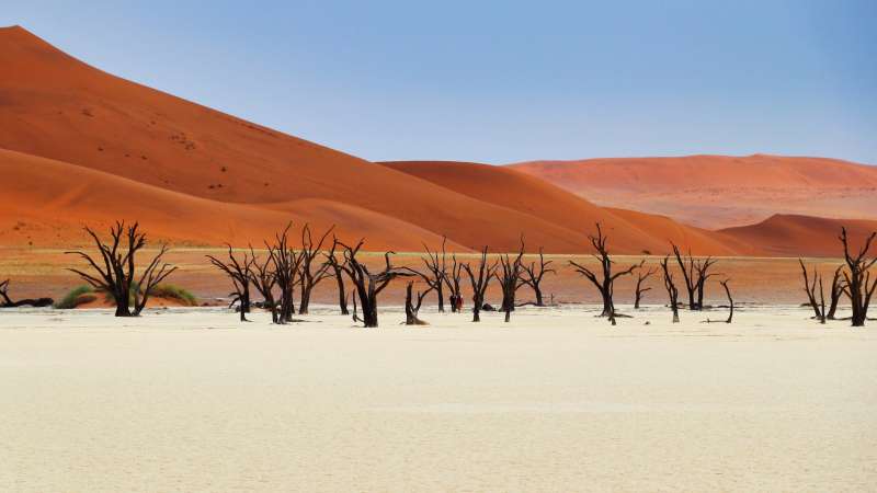 Deadvlei sossusvlei Namibia