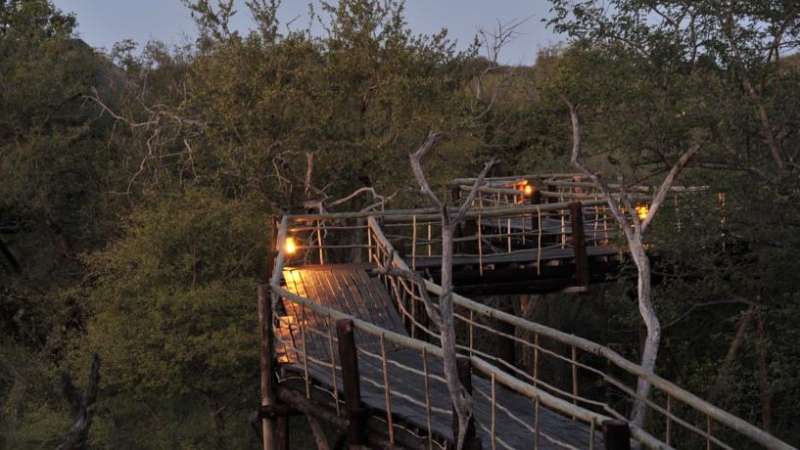 Walkways at lodge in balule game reserve