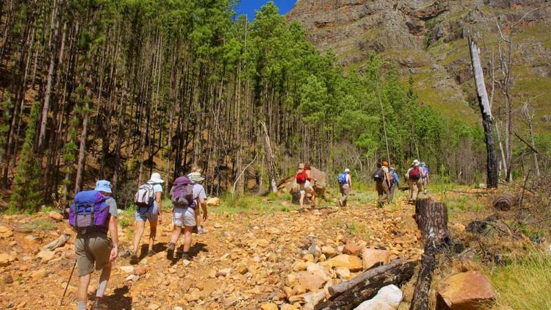 Hiking wolwekloof mountain near franschhoek