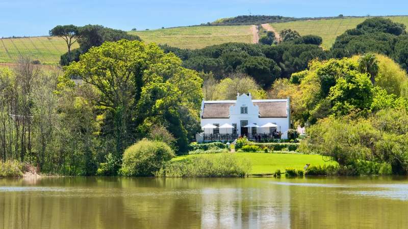 Wine estate cape winelands