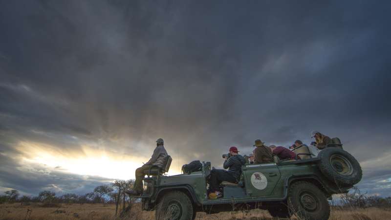 Exclusive game drives in Timbavati 