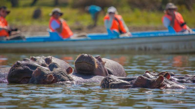 Lake naivasha activities