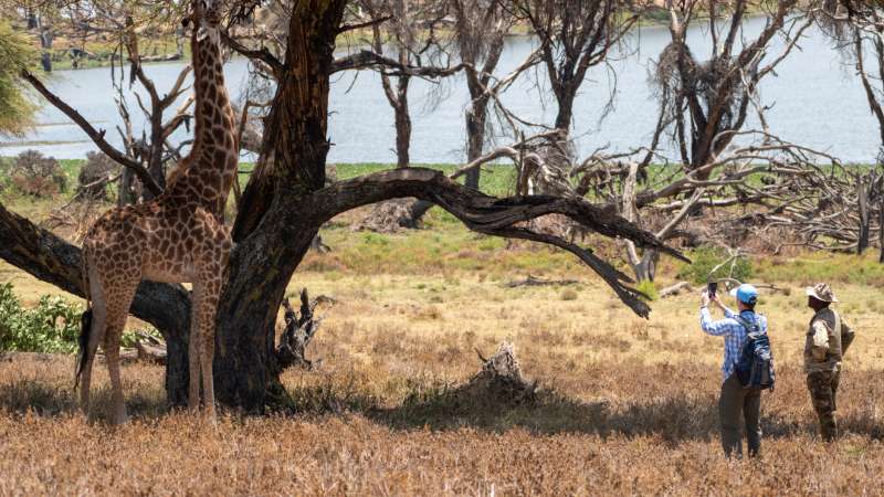Lake Naivasha walking safari