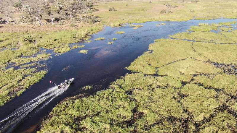 Okavango Delta safari, Botswana