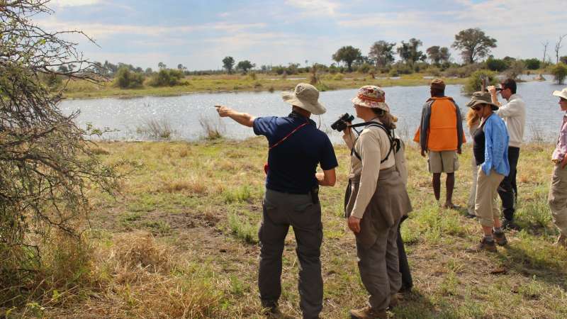 Okavango Delta safari bush walks