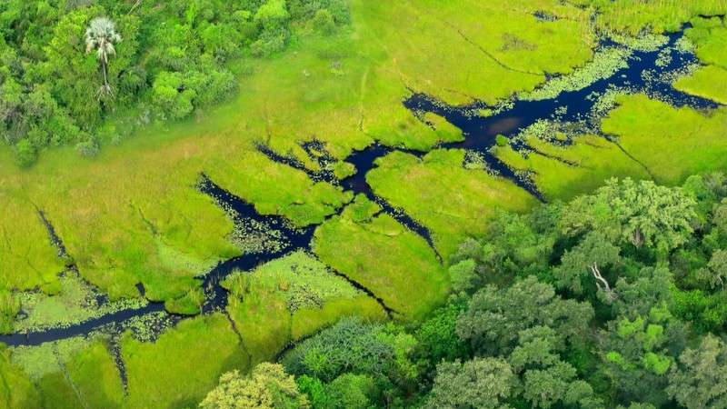 Scenic Okavango Delta safaris