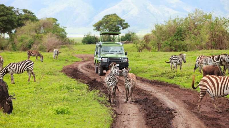 Game drive