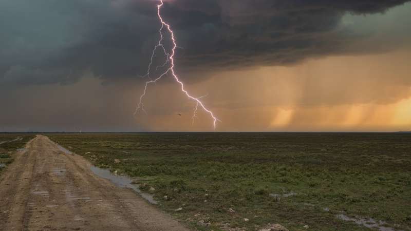 Thunder shower in Serengeti