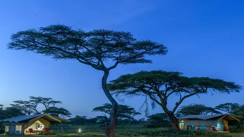 Ndutu wilderness camp
