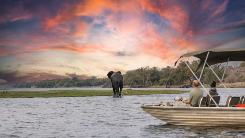 Chobe safaris by boat