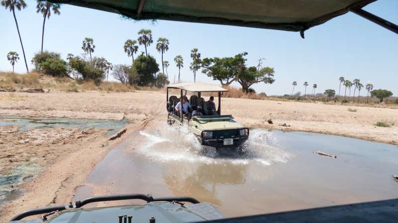 Tanzania safari to Ruaha