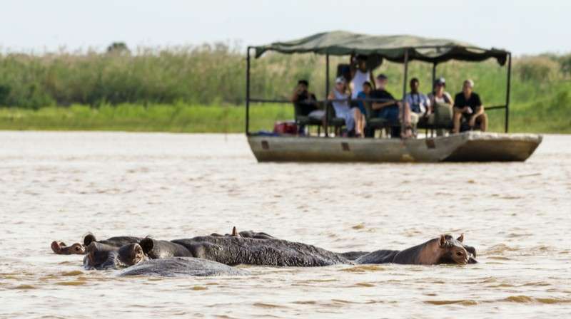 Boat safari Nyerere National Park