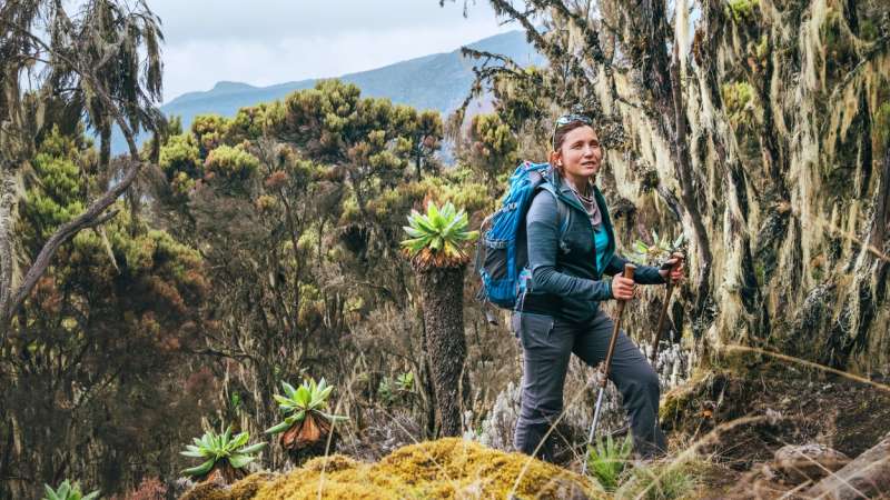 Hiking mount kilimanjaro