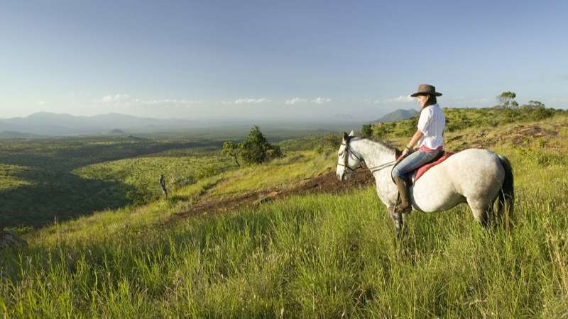 Horse back in the mara