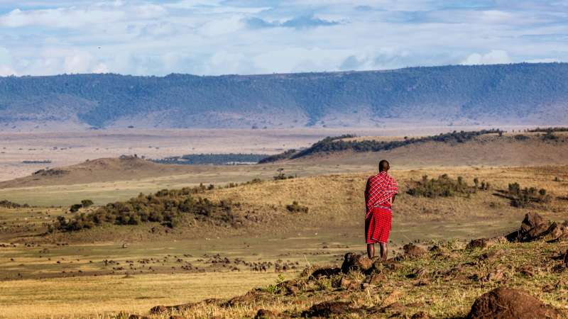 Maasai warrior looking out towards mara