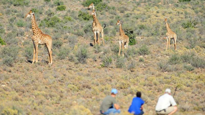 Sanbona guest experience