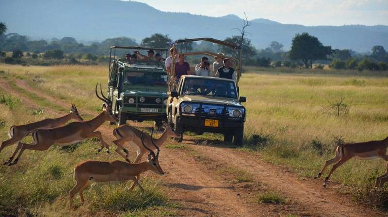 Mikumi selous safari
