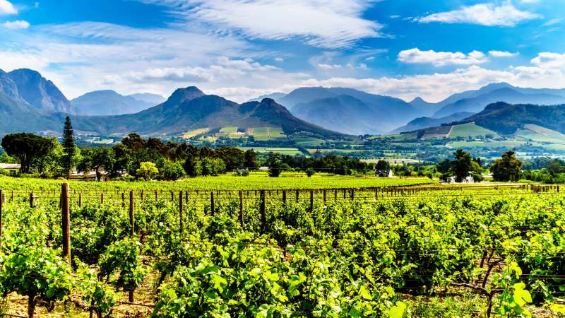 Cape Winelands Tours, South Africa