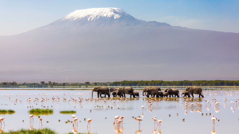 African Budget Safari in Kenya