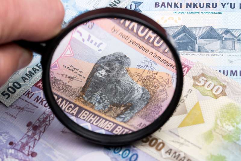 The African Budget Safaris Team