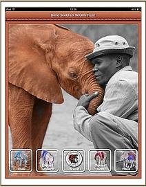 David Sheldrick Wildlife Trust Mobile App