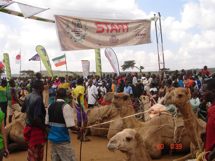 Let the fun and camel games begin