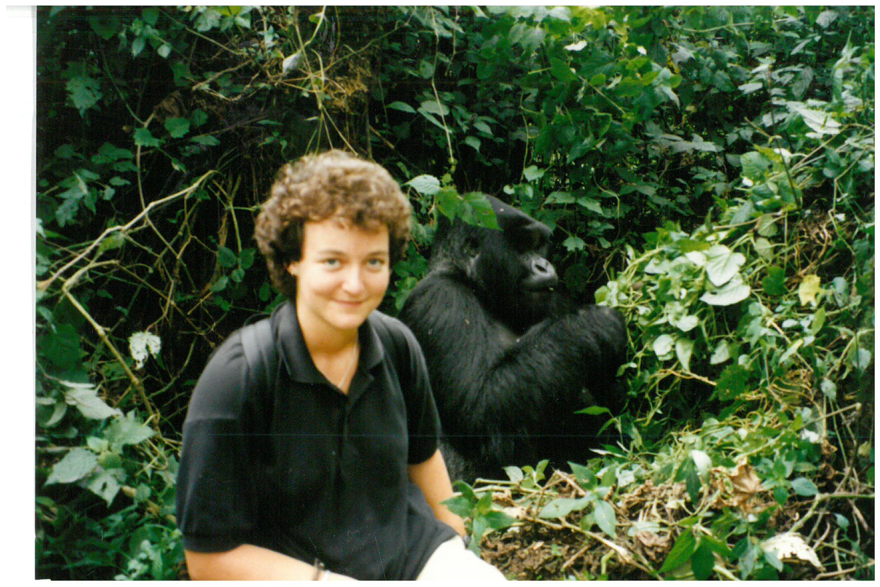 Harriet Gorilla Trekking in Africa