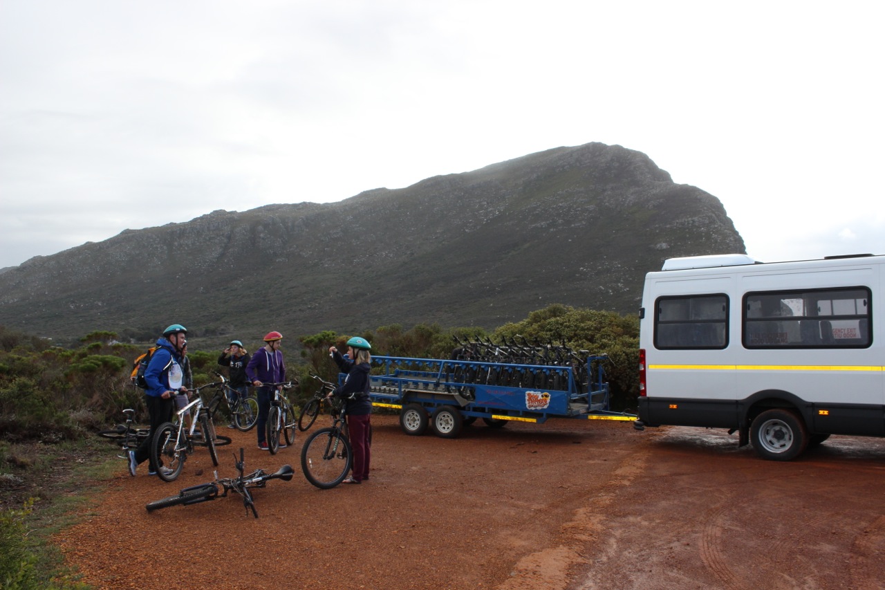 Cape Point Cycling Tour with Daytrippers