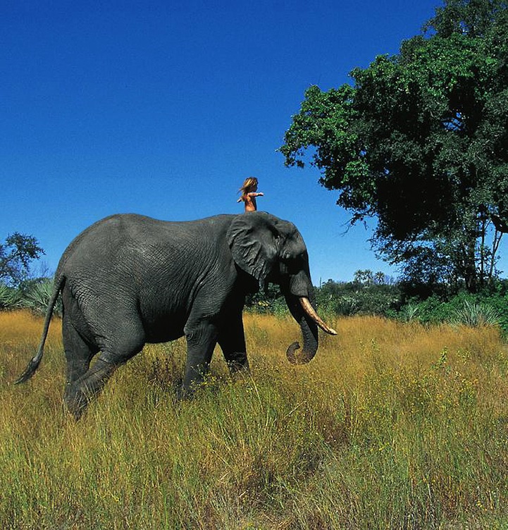 Tippi on an Elephant