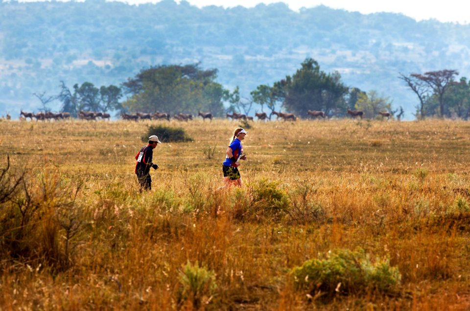 The Big Five Marathon's photos