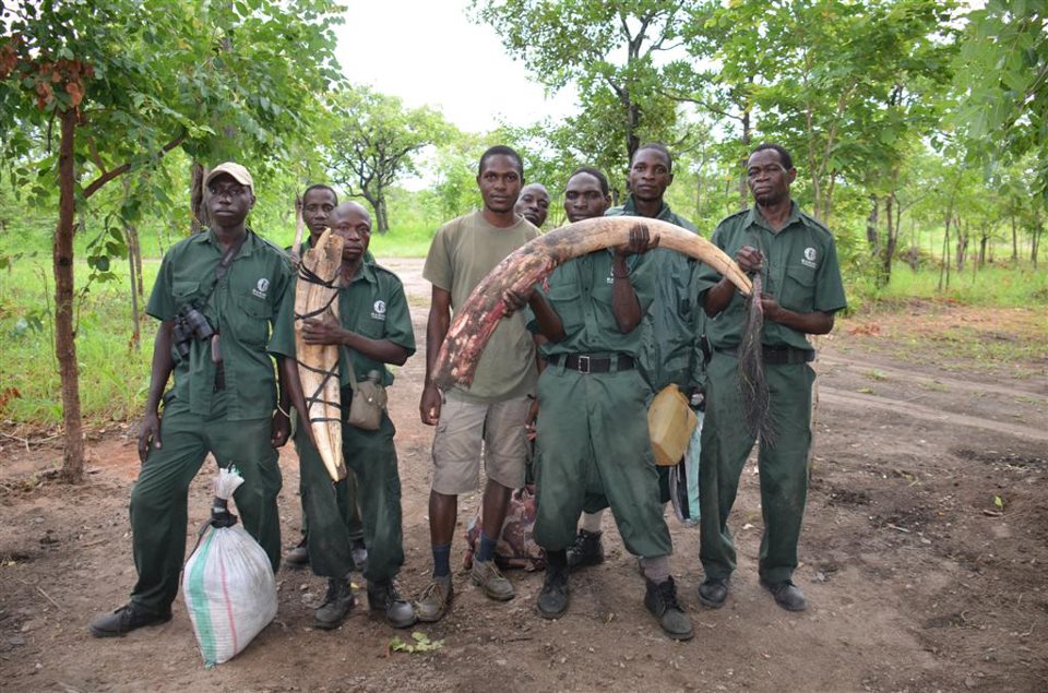 Local scouts in Niassa National Reserve
