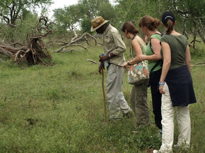 Southern African Walking Safari